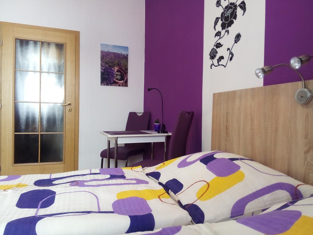 Penzion V Centru - Apartmány Smetanka Ceske Budejovice Habitación foto